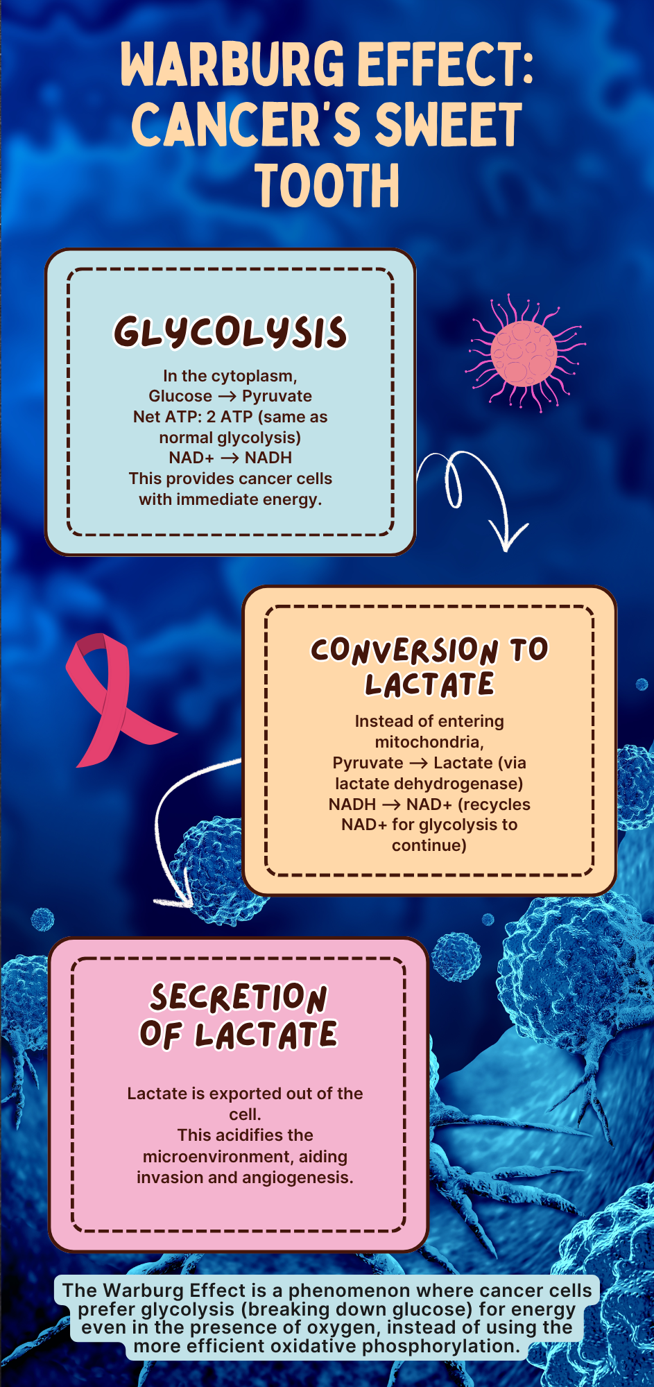 Warburg Effect: Cancer's Sweet Tooth